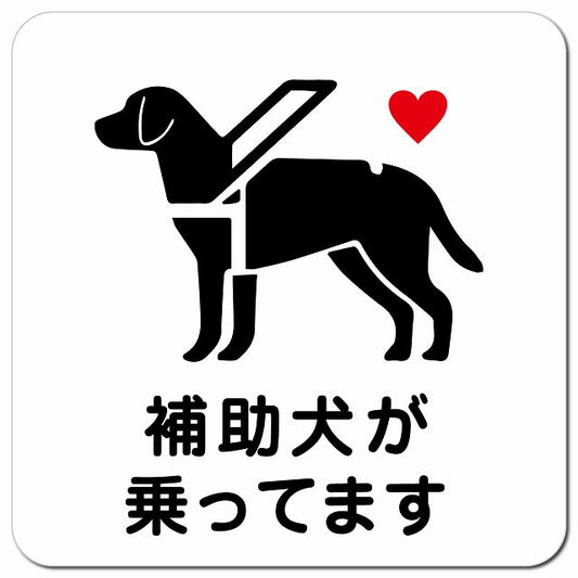 補助犬が乗ってます おしりハート Bタイプ ホワイト車用 マグネット 13x13cm 正方形 カーマグネット 表示プレート