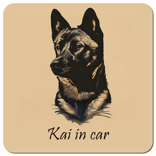 Dog in Car イラスト付 甲斐犬 Aタイプ 車用 マグネット 13x13cm 正方形 カーマグネット 表示プレート