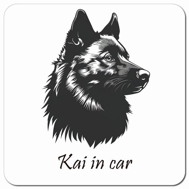 Dog in Car イラスト付 甲斐犬 Bタイプ 車用 マグネット 13x13cm 正方形 カーマグネット 表示プレート
