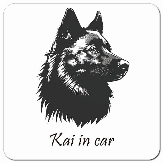 Dog in Car イラスト付 甲斐犬 Bタイプ 車用 マグネット 13x13cm 正方形 カーマグネット 表示プレート