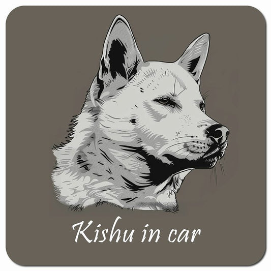 Dog in Car イラスト付 紀州犬 Bタイプ 車用 マグネット 13x13cm 正方形 カーマグネット 表示プレート