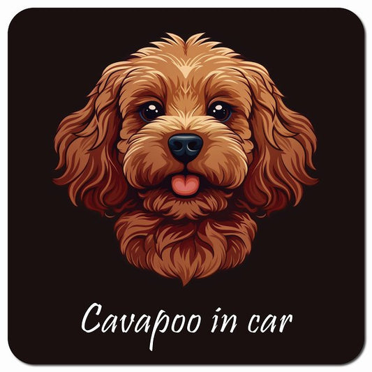 Dog in Car イラスト付 キャバプー Aタイプ 車用 マグネット 13x13cm 正方形 カーマグネット 表示プレート