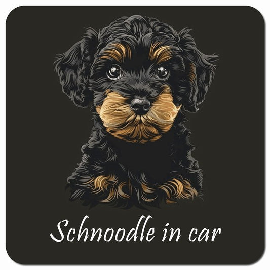 Dog in Car イラスト付 シュナプー Bタイプ 車用 マグネット 13x13cm 正方形 カーマグネット 表示プレート