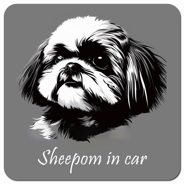 Dog in Car イラスト付 シーポメ Bタイプ 車用 マグネット 13x13cm 正方形 カーマグネット 表示プレート