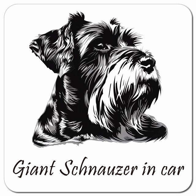 Dog in Car イラスト付 ジャイアントシュナウザー Aタイプ 車用 マグネット 13x13cm 正方形 カーマグネット 表示プレート