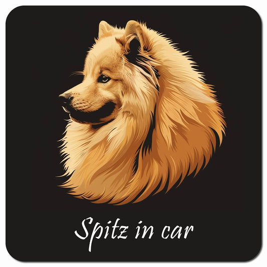 Dog in Car イラスト付 スピッツ Aタイプ 車用 マグネット 13x13cm 正方形 カーマグネット 表示プレート