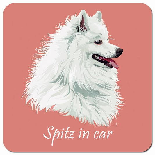 Dog in Car イラスト付 スピッツ Bタイプ 車用 マグネット 13x13cm 正方形 カーマグネット 表示プレート