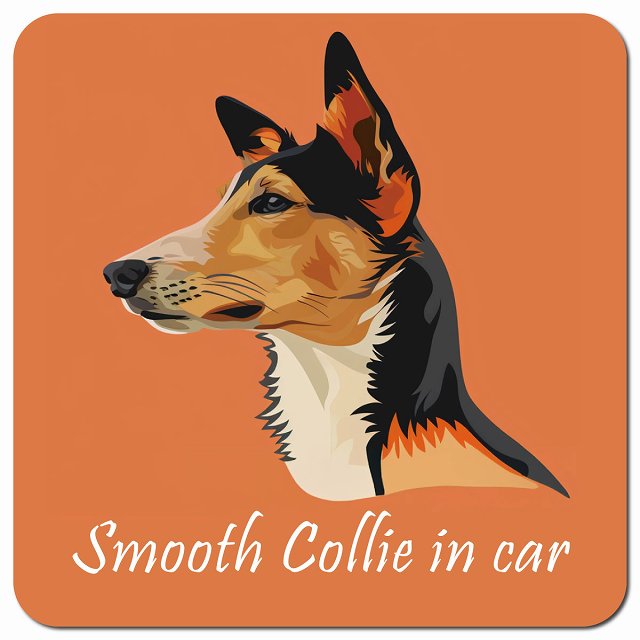 Dog in Car イラスト付 スムースコリー Aタイプ 車用 マグネット 13x13cm 正方形 カーマグネット 表示プレート