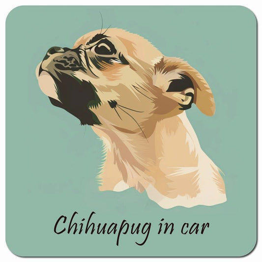 Dog in Car イラスト付 チワパグ Aタイプ 車用 マグネット 13x13cm 正方形 カーマグネット 表示プレート