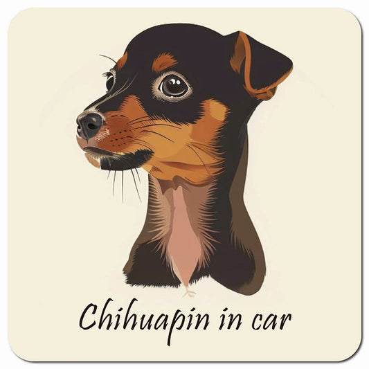 Dog in Car イラスト付 チワピン Aタイプ 車用 マグネット 13x13cm 正方形 カーマグネット 表示プレート