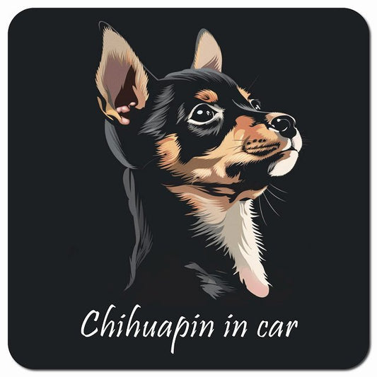 Dog in Car イラスト付 チワピン Bタイプ 車用 マグネット 13x13cm 正方形 カーマグネット 表示プレート