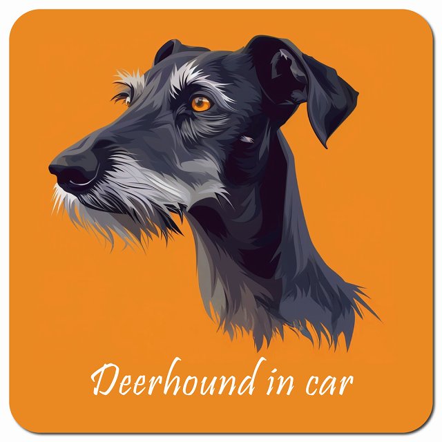 Dog in Car イラスト付 ディアハウンド Bタイプ 車用 マグネット 13x13cm 正方形 カーマグネット 表示プレート