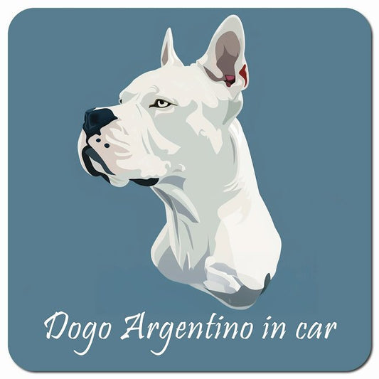 Dog in Car イラスト付 ドゴアルヘンティーノ Bタイプ 車用 マグネット 13x13cm 正方形 カーマグネット 表示プレート