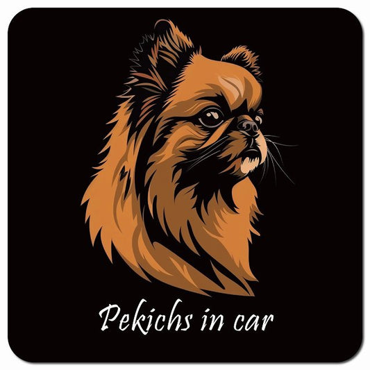 Dog in Car イラスト付 ペキックス Aタイプ 車用 マグネット 13x13cm 正方形 カーマグネット 表示プレート