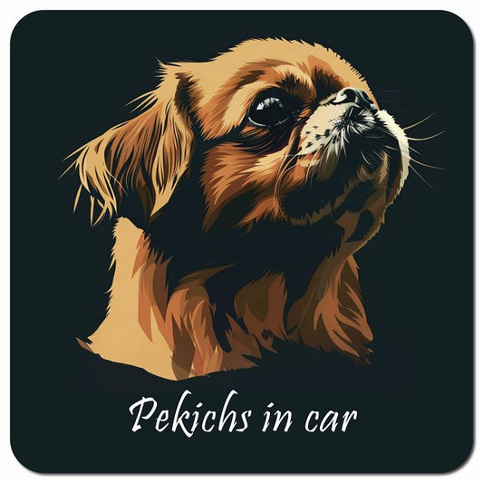 Dog in Car イラスト付 ペキックス Bタイプ 車用 マグネット 13x13cm 正方形 カーマグネット 表示プレート