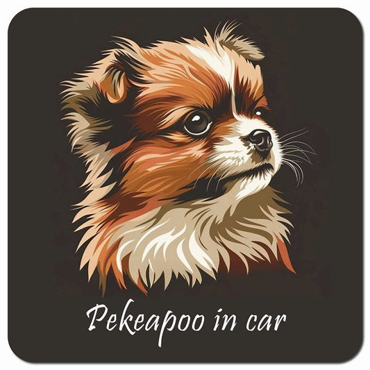 Dog in Car イラスト付 ペキプー Bタイプ 車用 マグネット 13x13cm 正方形 カーマグネット 表示プレート