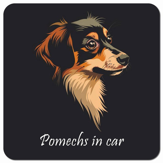 Dog in Car イラスト付 ポメックス Bタイプ 車用 マグネット 13x13cm 正方形 カーマグネット 表示プレート