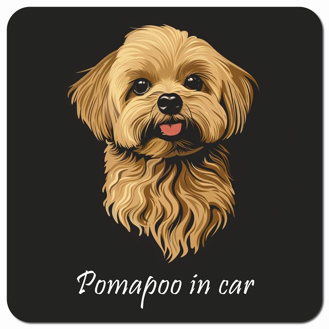 Dog in Car イラスト付 ポメプー Aタイプ 車用 マグネット 13x13cm 正方形 カーマグネット 表示プレート