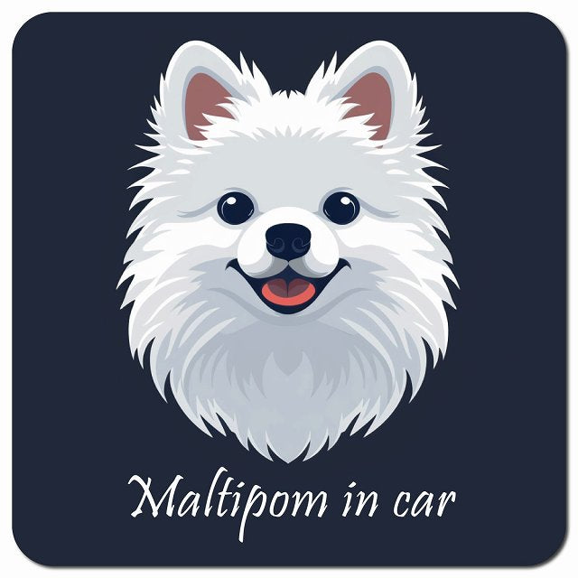 Dog in Car イラスト付 ポメマル Aタイプ 車用 マグネット 13x13cm 正方形 カーマグネット 表示プレート