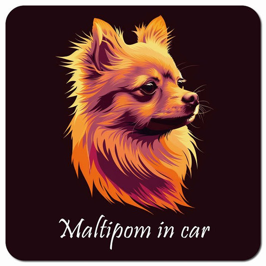Dog in Car イラスト付 ポメマル Bタイプ 車用 マグネット 13x13cm 正方形 カーマグネット 表示プレート