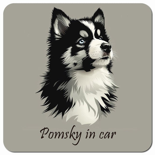 Dog in Car イラスト付 ポンスキー Aタイプ 車用 マグネット 13x13cm 正方形 カーマグネット 表示プレート