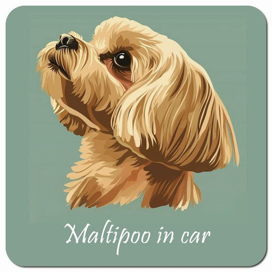 Dog in Car イラスト付 マルプー Aタイプ 車用 マグネット 13x13cm 正方形 カーマグネット 表示プレート