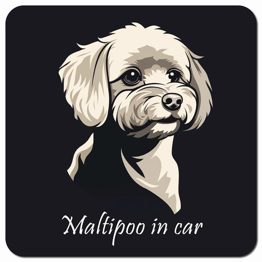 Dog in Car イラスト付 マルプー Bタイプ 車用 マグネット 13x13cm 正方形 カーマグネット 表示プレート