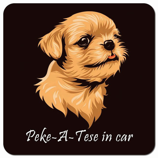 Dog in Car イラスト付 マルペキ Aタイプ 車用 マグネット 13x13cm 正方形 カーマグネット 表示プレート