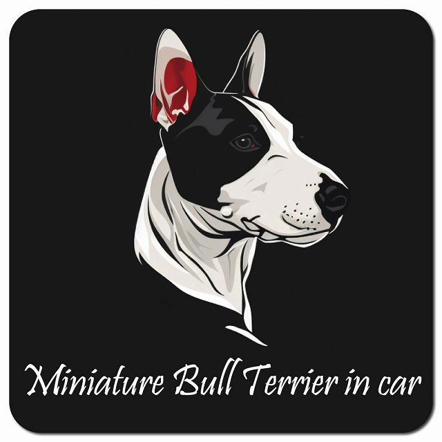Dog in Car イラスト付 ミニチュアブルテリア Bタイプ 車用 マグネット 13x13cm 正方形 カーマグネット 表示プレート
