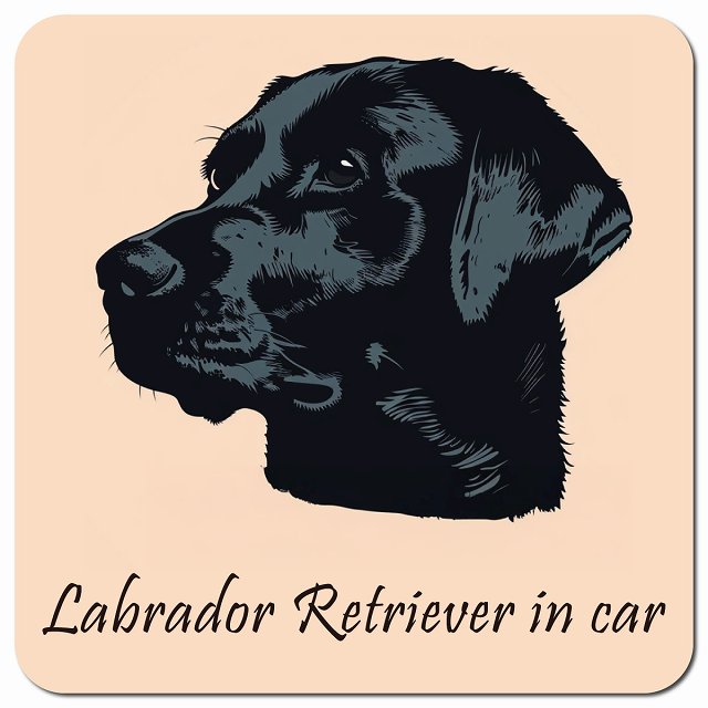 Dog in Car イラスト付 ラブラドールレトリバー Aタイプ 車用 マグネット 13x13cm 正方形 カーマグネット 表示プレート
