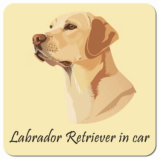 Dog in Car イラスト付 ラブラドールレトリバー Bタイプ 車用 マグネット 13x13cm 正方形 カーマグネット 表示プレート