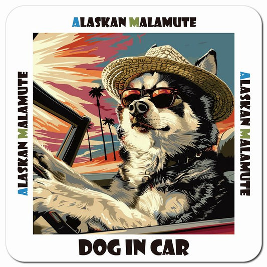 Dog in car 海 麦わら帽子 サングラス Alaskan Malamute アラスカンマラミュート車用 マグネット 13x13cm 正方形 カーマグネット 表示プレート