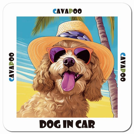 Dog in car 海 麦わら帽子 サングラス Cavapoo キャバプー車用 マグネット 13x13cm 正方形 カーマグネット 表示プレート