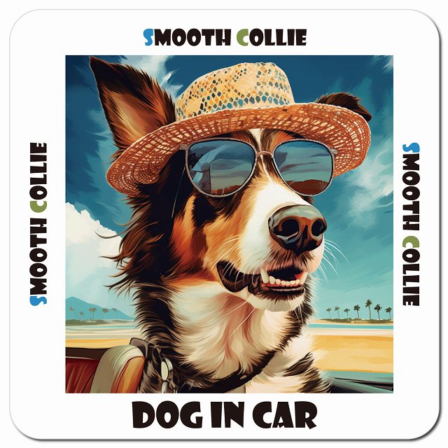 Dog in car 海 麦わら帽子 サングラス Smooth Collie スムースコリー車用 マグネット 13x13cm 正方形 カーマグネット 表示プレート