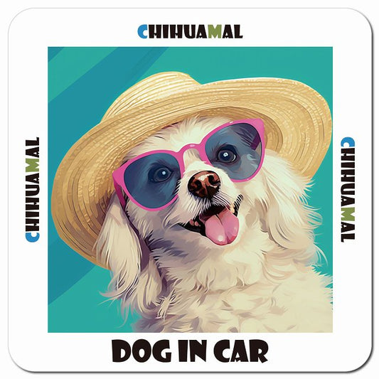 Dog in car 海 麦わら帽子 サングラス Chihuamal チワマル車用 マグネット 13x13cm 正方形 カーマグネット 表示プレート