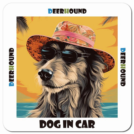 Dog in car 海 麦わら帽子 サングラス Deerhound ディアハウンド車用 マグネット 13x13cm 正方形 カーマグネット 表示プレート