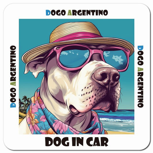 Dog in car 海 麦わら帽子 サングラス Dogo Argentino ドゴアルヘンティーノ車用 マグネット 13x13cm 正方形 カーマグネット 表示プレート