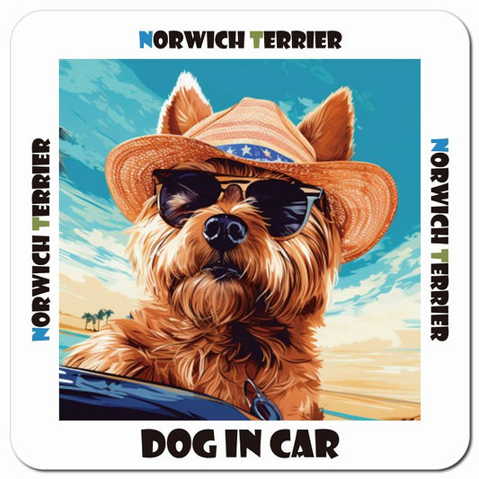 Dog in car 海 麦わら帽子 サングラス Norwich Terrier ノーリッチテリア車用 マグネット 13x13cm 正方形 カーマグネット 表示プレート