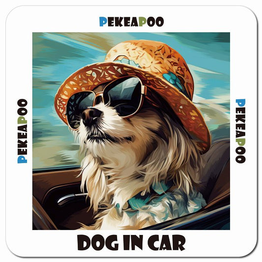 Dog in car 海 麦わら帽子 サングラス Pekeapoo ペキプー車用 マグネット 13x13cm 正方形 カーマグネット 表示プレート