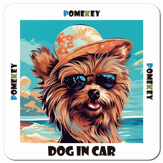 Dog in car 海 麦わら帽子 サングラス Pomekey ポメキー車用 マグネット 13x13cm 正方形 カーマグネット 表示プレート