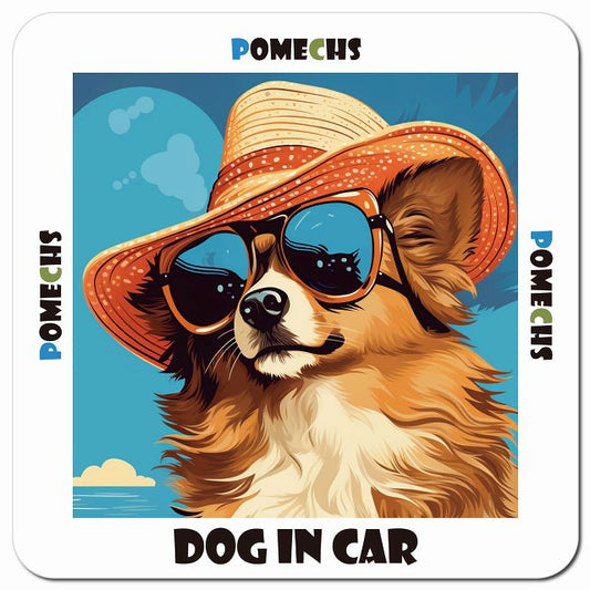 Dog in car 海 麦わら帽子 サングラス Pomechs ポメックス車用 マグネット 13x13cm 正方形 カーマグネット 表示プレート