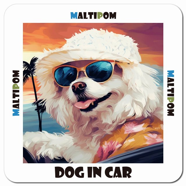 Dog in car 海 麦わら帽子 サングラス Maltipom ポメマル車用 マグネット 13x13cm 正方形 カーマグネット 表示プレート