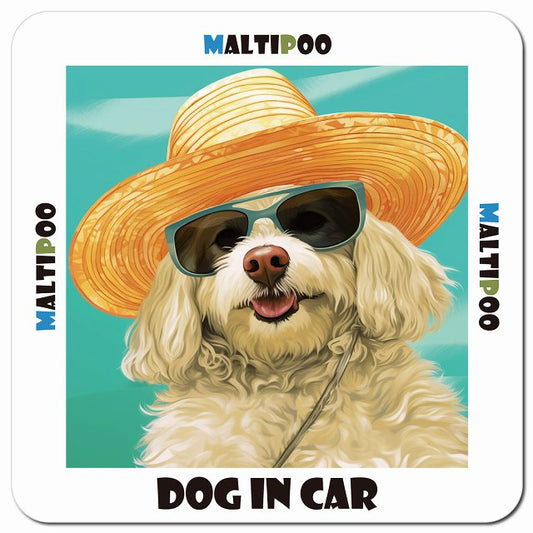 Dog in car 海 麦わら帽子 サングラス Maltipoo マルプー車用 マグネット 13x13cm 正方形 カーマグネット 表示プレート