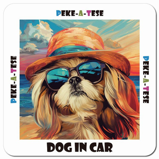 Dog in car 海 麦わら帽子 サングラス Peke-A-Tese マルペキ車用 マグネット 13x13cm 正方形 カーマグネット 表示プレート