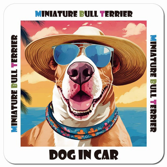 Dog in car 海 麦わら帽子 サングラス Miniature Bull Terrier ミニチュアブルテリア車用 マグネット 13x13cm 正方形 カーマグネット 表示プレート