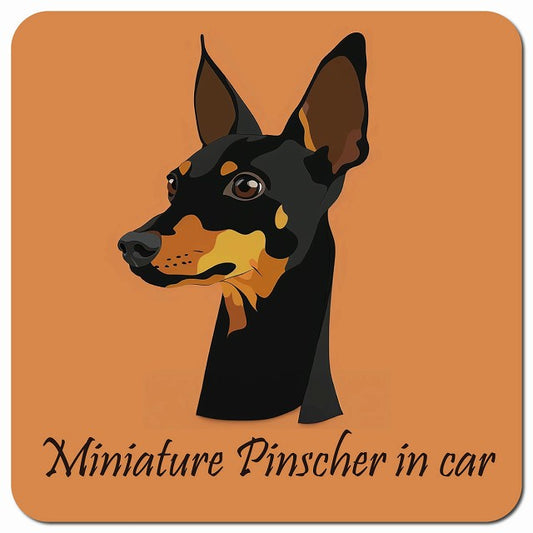 Dog in Car イラスト付 ミニチュアピンシャー Aタイプ 車用 マグネット 13x13cm 正方形 カーマグネット 表示プレート