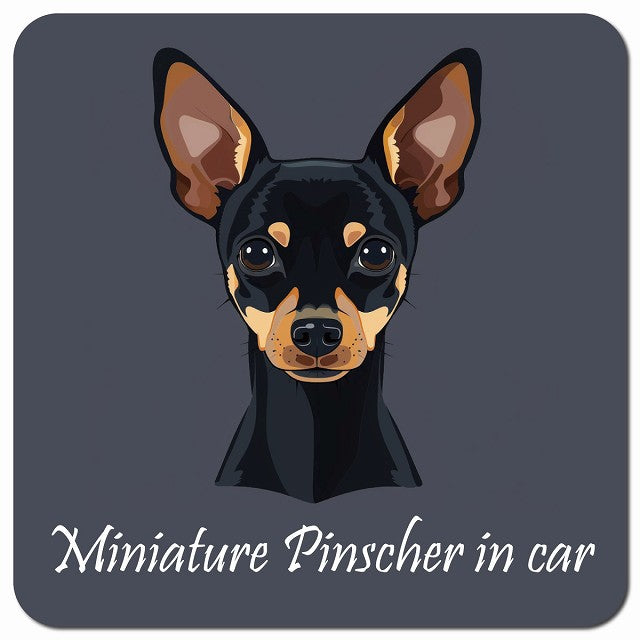 Dog in Car イラスト付 ミニチュアピンシャー Bタイプ 車用 マグネット 13x13cm 正方形 カーマグネット 表示プレート