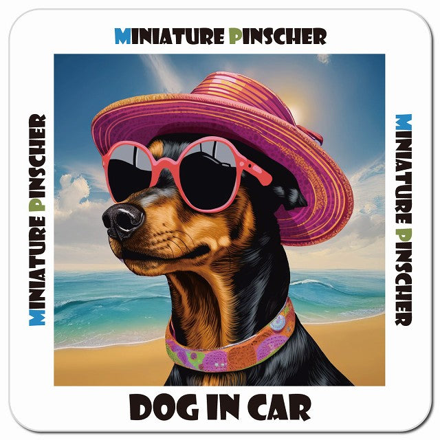 Dog in car 海 麦わら帽子 サングラス Miniature Pinscher ミニチュアピンシャー車用 マグネット 13x13cm 正方形 カーマグネット 表示プレート