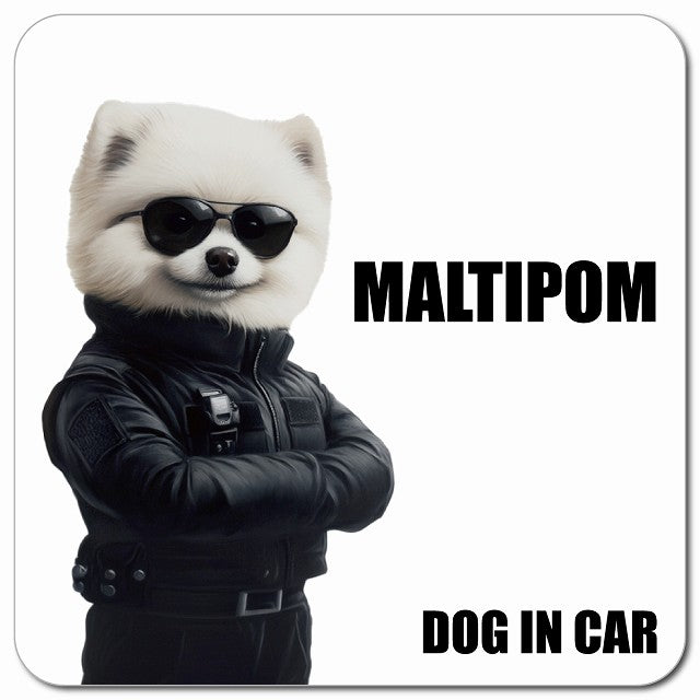 MALTIPOM ポメマル 車用 セキュリティガード風 マグネット 13x13cm 正方形 カーマグネット 表示プレート
