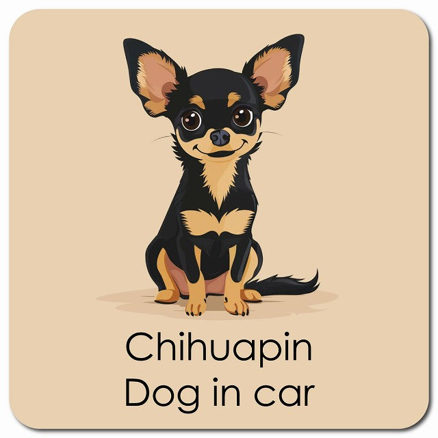 Chihuapin チワピン 車用 パステル くすみカラー スタイル アニメ風 マグネット 13x13cm 正方形 カーマグネット 表示プレート